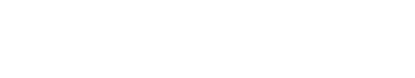 ZOOMSales